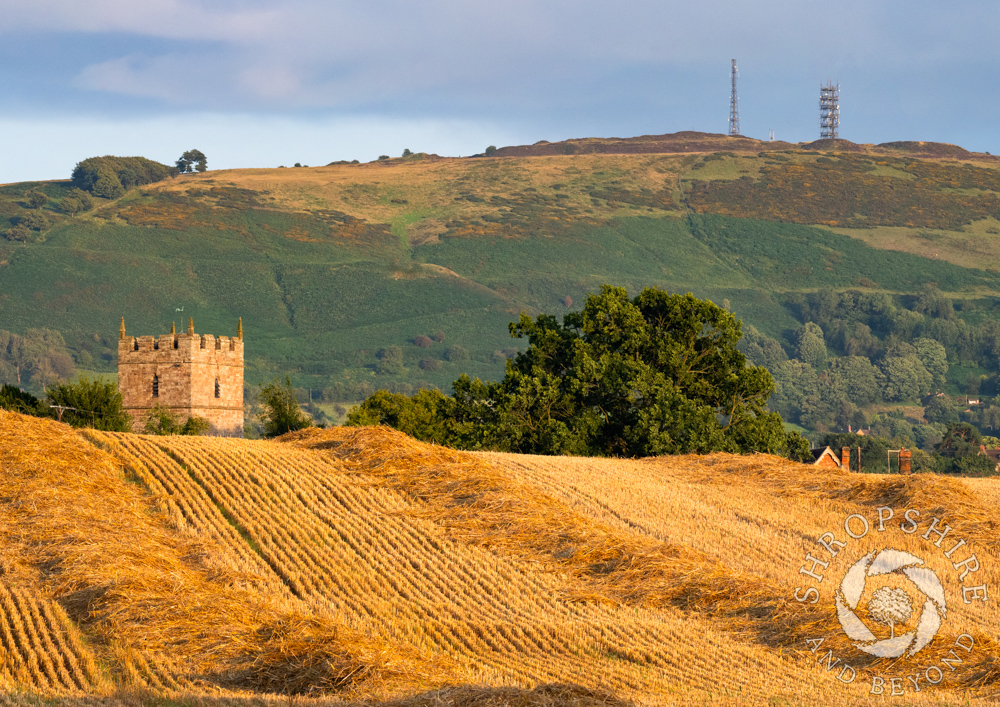 Field of gold in the shadow of Brown Clee