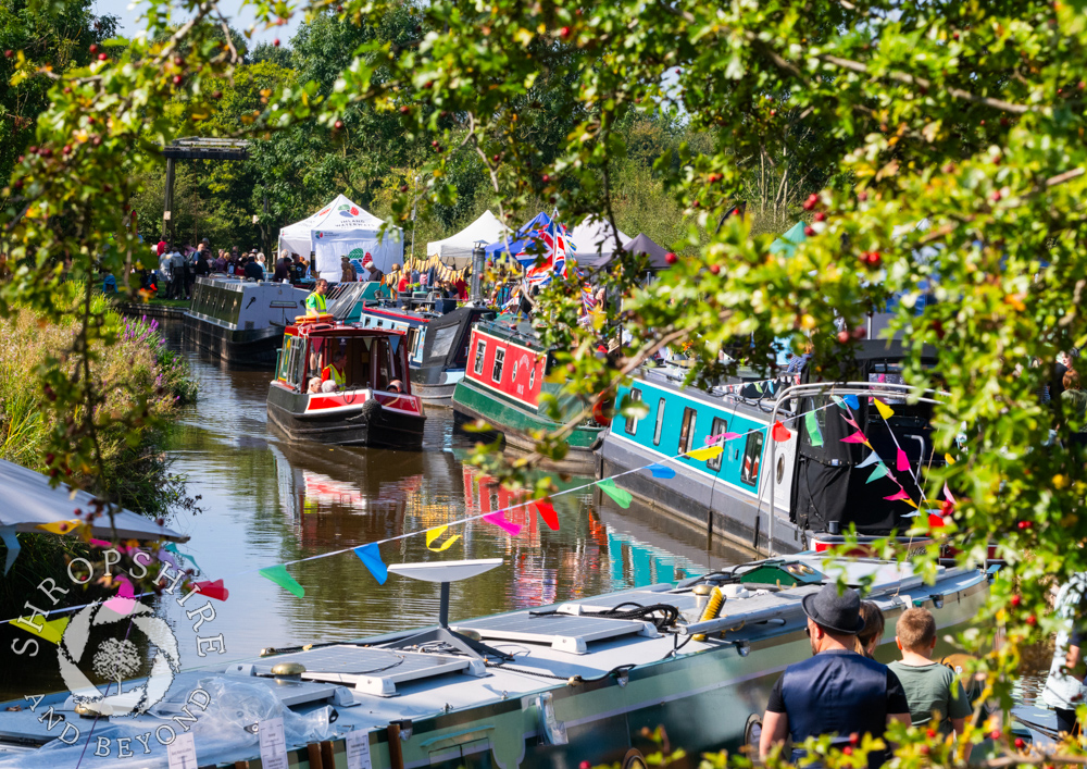 Sunshine festival at the Whitchurch 'Arm'