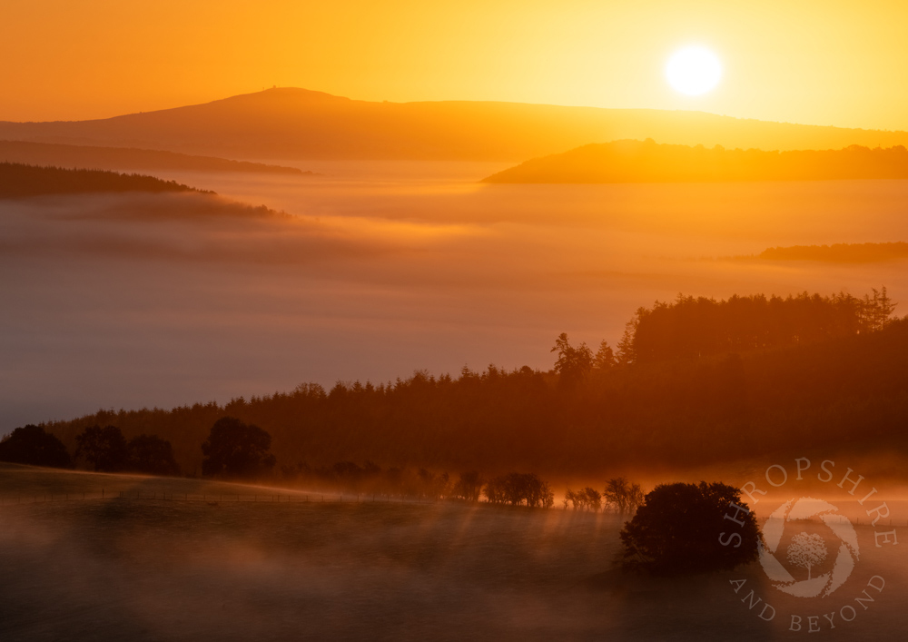 Timeless scene at sunrise in Clun Valley