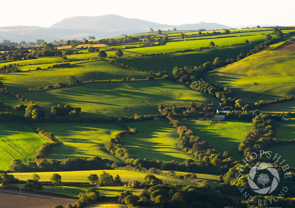 Green and glorious along the borderlands