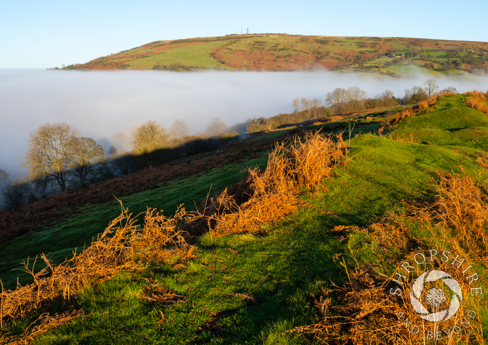 Sunshine and sea of mist on Brown Clee