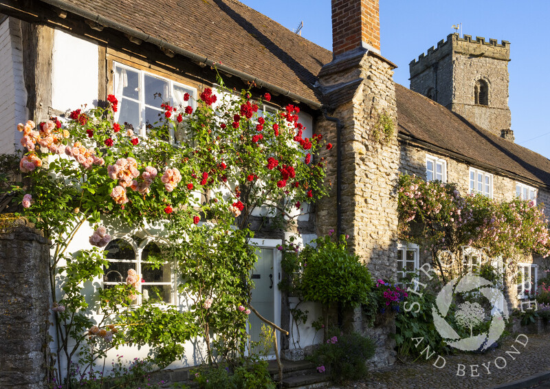 Rose-covered cottages in the Bull Ring, Much Wenlock, Shropshire.