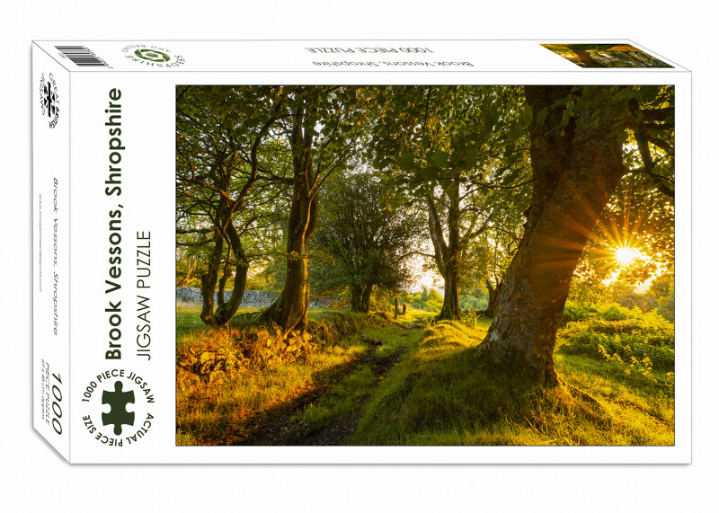 Brook Vessons, Shropshire 1000-piece Jigsaw