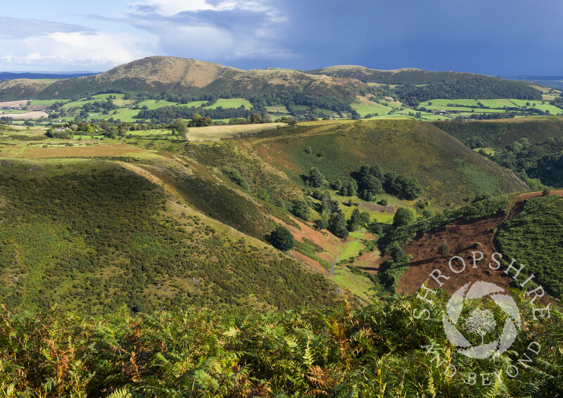 Looking towards Caer Caradoc and Hope Bowdler from above Batch Valley on the Long Mynd, Shropshire.