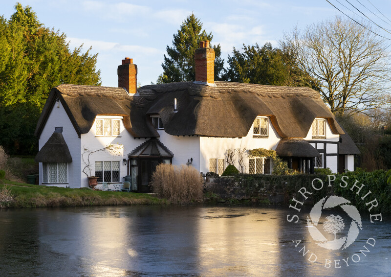 Thatched cottage beside a frozen pool at Badger, Shropshire.