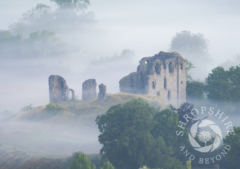 Clun Castle emerges from the dawn mist, south Shropshire.