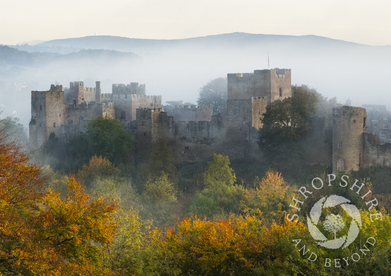 Misty autumn morning at Ludlow Castle, Shropshire.