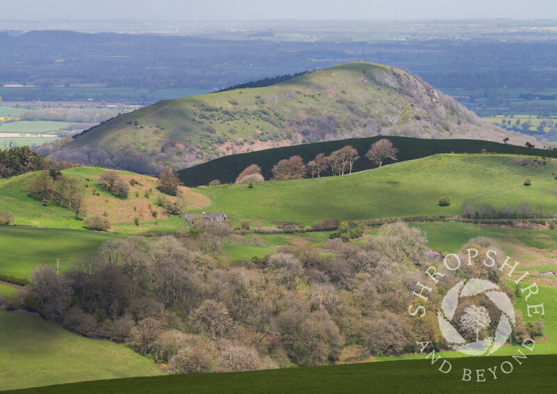 Earl's Hill seen from Cothercott Hill, Shropshire.