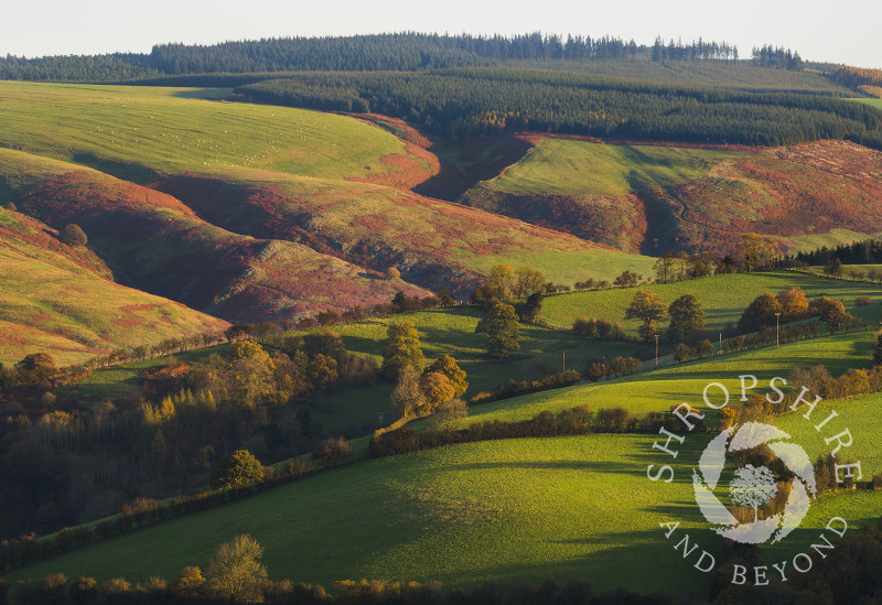 Early morning light on the Long Mynd, seen from Burrow Hill, Shropshire.